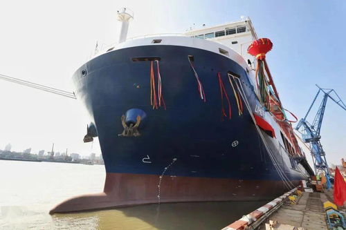 沪东中华为中船租赁建造的第四艘13000T重吊船 策略 号命名交付